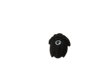 1316986711_trilobit1.jpg