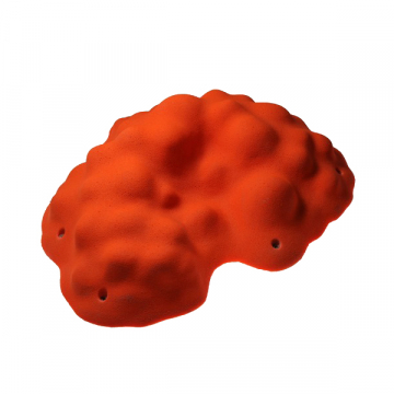 3409409613_makro_07.jpg