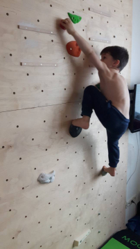 Makak domácí stěna 1